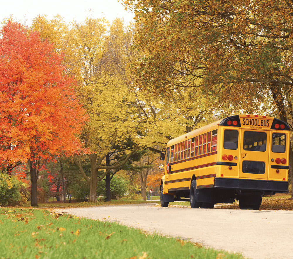 A yellow school bus is parked to the side of a paved road surrounded by trees with fall-colored leaves.