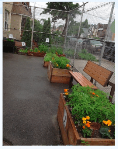 Importance of NYC’s outdoor learning initiative is clear to Little Neck special ed teacher
