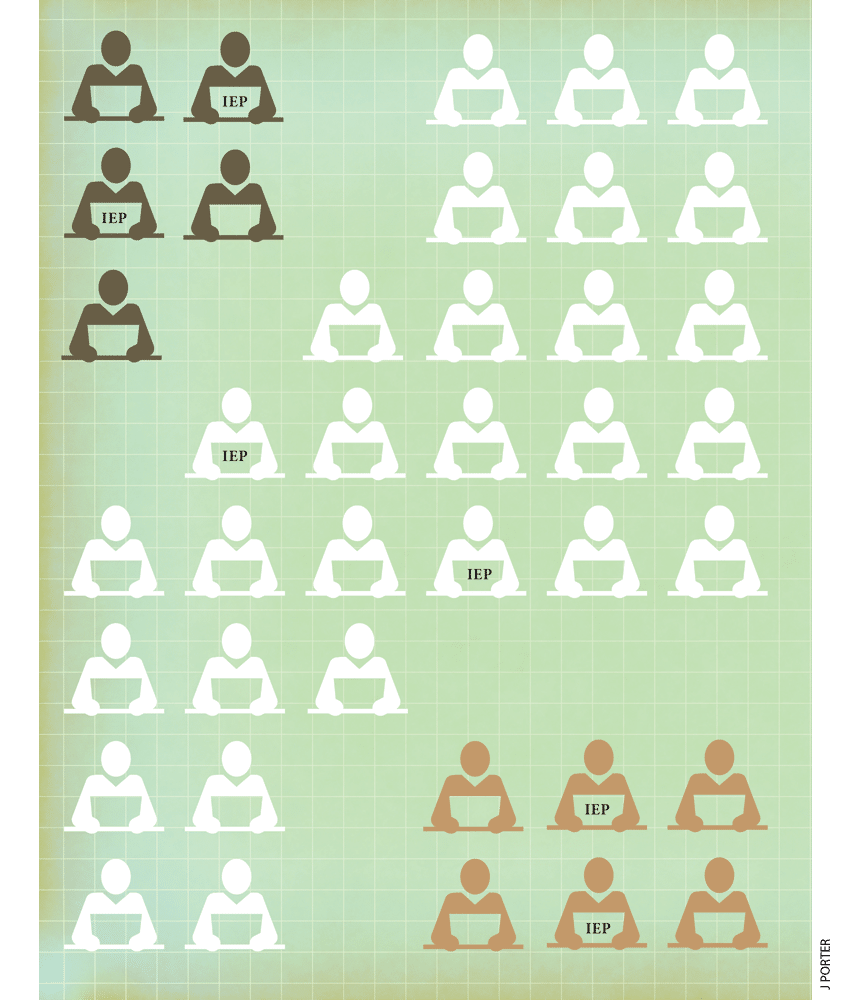 Segregation and Racial Gaps in Special Education