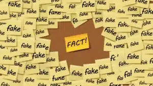 multiple yellow sticky notes with the word "fake" and one in the center with the word "Fact" on a bulletin board